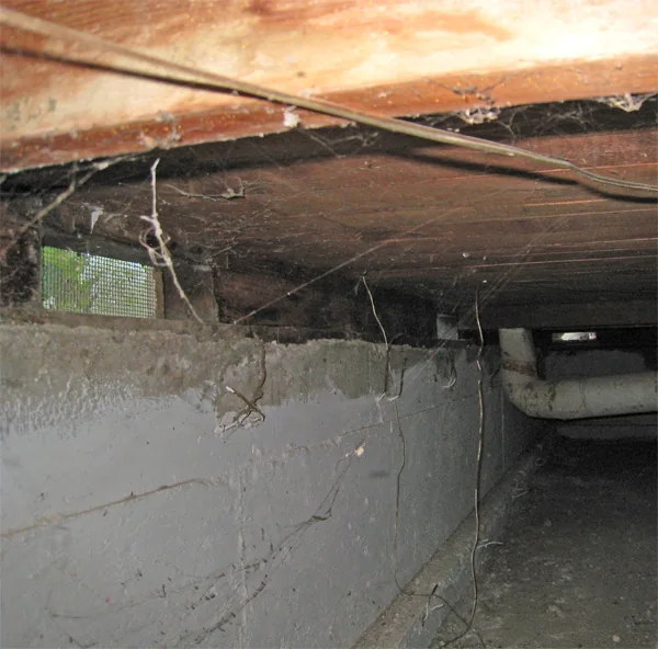 Crawlspace Water Removal in a San Jose home