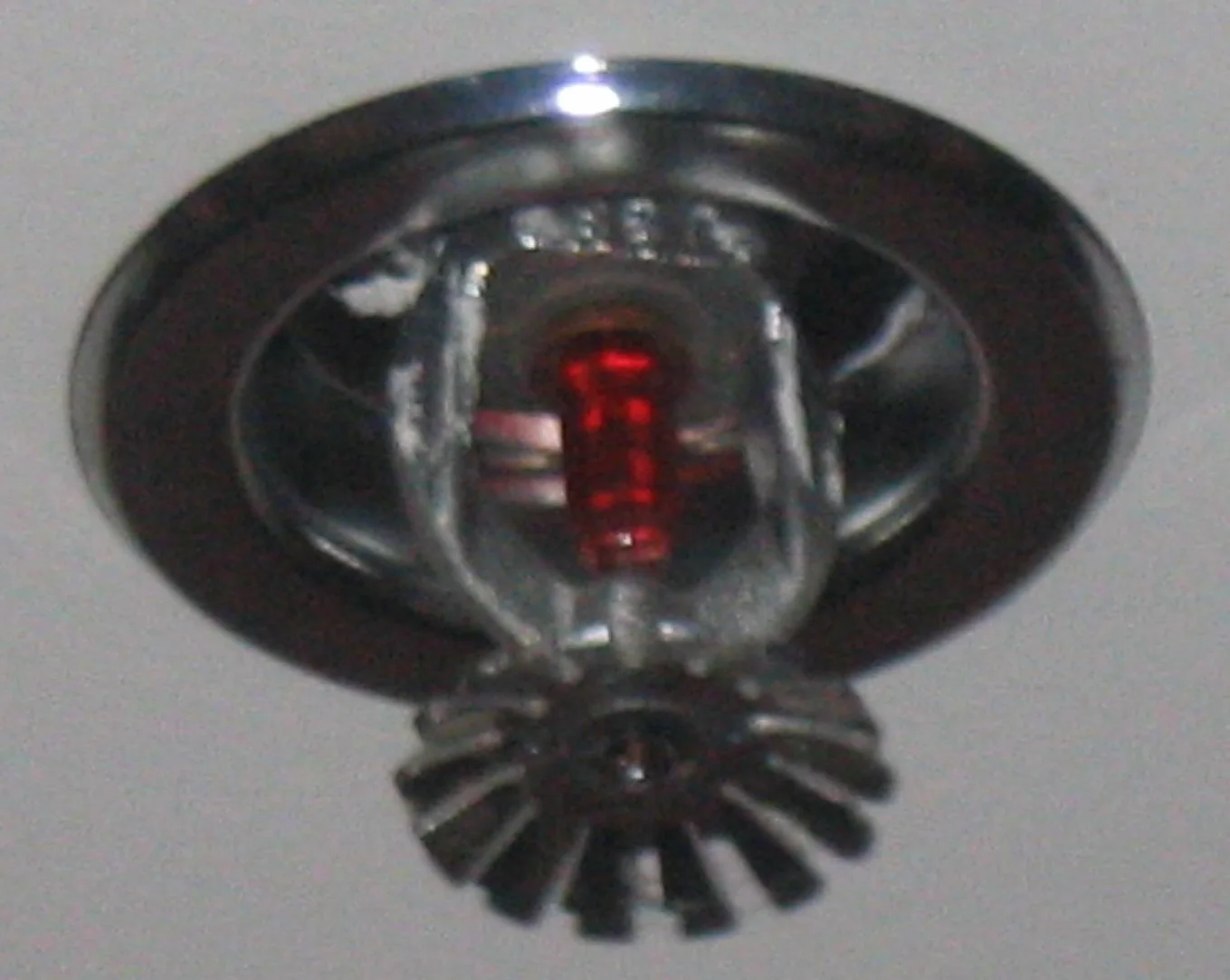 Fire Sprinkler Discharge in a San Jose home