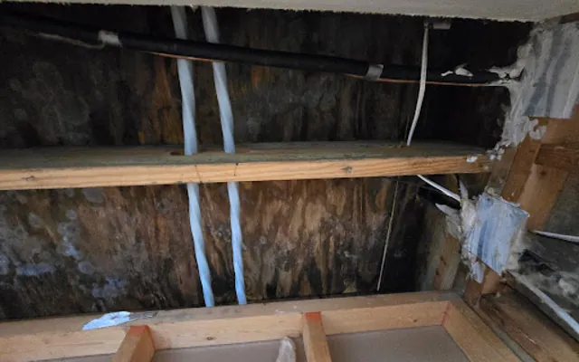 Roof Leak Water Damage in San Jose, CA