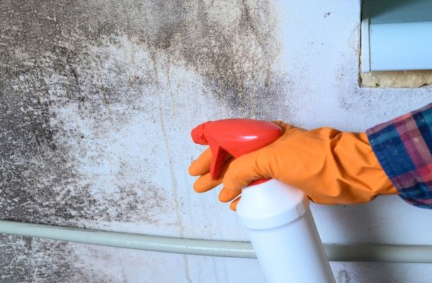 Mold Remediation San Jose, California