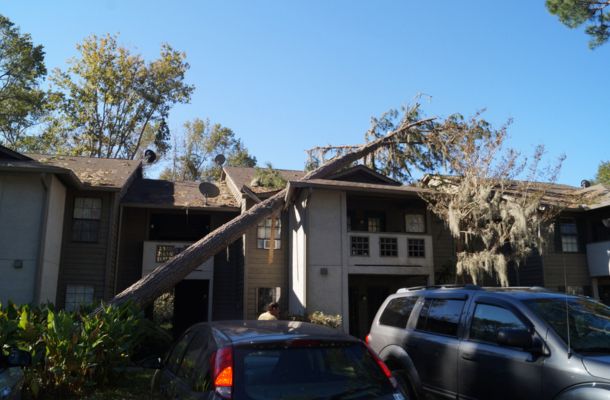 Storm Damage Restoration San Jose, California